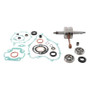 Hot Rods 06-24 KX 65 Bottom End Kit