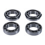 Hot Rods 14-20 Scrambler 1000 XP/2021 Scrambler 1000 XP 55 Counter Balancer Kit