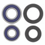 QuadBoss 06-09 Arctic Cat 250 2x4 Front ATV Wheel Bearing & Seal Kit