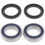 QuadBoss 94-95 Polaris 300 2x4 (03) Rear ATV Wheel Bearing & Seal Kit