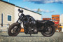 Kuryakyn Dillinger Pegs With Male Mount Adapter Silver
