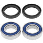 QuadBoss 1990 Kawasaki KAF540C Mule 2010 C542 Front UTV Wheel Bearing & Seal Kit
