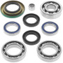 QuadBoss 06-10 Can-Am Outlander 400 (02) Rear Differential Bearing & Seal Kit
