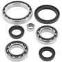 QuadBoss 07-11 Yamaha YFM350 Grizzly 4x4 IRS Front Differential Bearing & Seal Kit