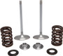 Intake Valve Spring Kit
