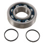 Hot Rods 2014 YFM 450 DE Grizzly IRS 4x4/03-06 YFM 450 FA Kodiak 4x4 Main Bearing & Seal Kit