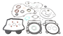 Complete Gasket Set With Oil Seals