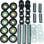 QuadBoss 2007 Suzuki LT-A450X KingQuad 4x4 AXi (2) Repair Kit Rear Independent Suspension Repair Kit