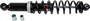 Gas Shock Ski Pol