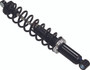 Gas Ski Shock W/spring Pol