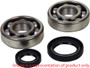 Main Bearing/seal Kit