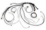 Haltech NEXUS Rebel LS Terminated Harness for ECU