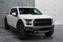 Diode Dynamics 17-20 Ford Raptor SS3 LED Fog Light Kit - White Sport