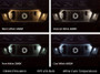 Diode Dynamics 194 LED Bulb HP5 LED Pure - White Set of 12