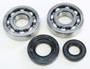 Crankshaft Bearing & Seal Kit Yam