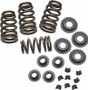 S&S Cycle 84-04 BT/86-03 Sportster Models .650in Lift Sidewinder Valve Spring Kit