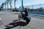 Burly Brand Tall Sissy Bar 20in - Chrome