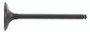 Exhaust Valve Steel