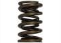 Ford Racing Replacement Hydraulic Roller Valve Spring - Single (For M-6049-SCJA)