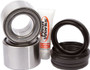 Rear Wheel Bearing Kit