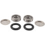 Pivot Works 06-09 Arctic Cat 250 2x4 Swing Arm Kit