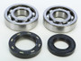 Crankshaft Bearing & Seal Kit