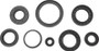 QuadBoss 12-14 Arctic Cat 550 4x4 EFI Oil Seal Set