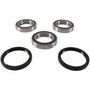 Rear Wheel Bearing Kit