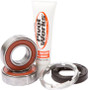 Rear Wheel Bearing Kit