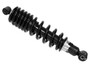 Shock Assembly