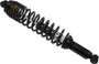 Gas Shock Rear