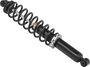 Gas Ski Shock W/spring S-d