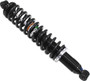 Gas Shock Rear