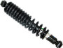 Gas Shock Rear
