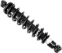 Gas Shock Rear
