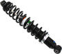 Gas Shock Rear