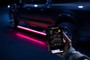 AMP Research 21-24 Ford F-150 SuperCrew PowerStep Vision