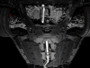 AWE Tuning 2024 Acura Integra Type S DE5 FWD Track Edition Exhaust w/ Triple Diamond Black Tips