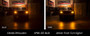 Diode Dynamics 1156 XP80 LED - Amber (Single)