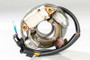 Ricks Motorsport OEM Style Arctic Cat Stator Snow