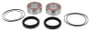 Pivot Works Rear Wheel Bearing Kit