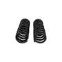 ARB / OME Front Coil Spring Set 03-23 Toyota 4Runner