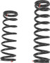 Zbroz Rear Spring Kit Agg Pol