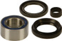 Wheel Bearing & Seal Kit