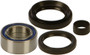 Wheel Bearing & Seal Kit