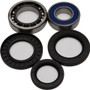 Wheel Bearing & Seal Kit