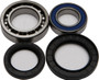 Wheel Bearing & Seal Kit