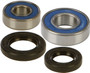 Wheel Bearing & Seal Kit
