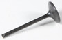 Black Diamond Intake Valve