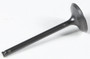 Black Diamond Exhaust Valve